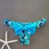 Dollboxx Booty Pop Bow Bikini Bottom - Toucan Party / Blue