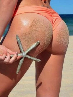 Dollboxx Flaunt It Cheeky Bottoms - Orange Pop -Dollboxx Import Shop Flaunt It Cheeky Bottoms Orange Pop Swimwear dollboxx 3 4e2c13fe 7c18 4022 8603 0a56a87aea62