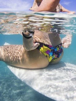 Dollboxx Flaunt It Cheeky Bottoms - Paint Splash -Dollboxx Import Shop Flaunt It Cheeky Bottoms Paint Splash Swimwear dollboxx 14 886e33e0 24cb 4045 81ee cca75e35e853